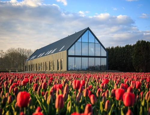 Zicht op de cromme leeck